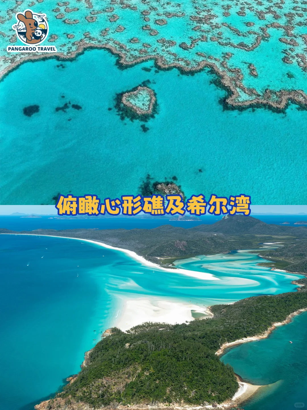 ✈️圣灵群岛观光机/直升机/水上飞机怎么选