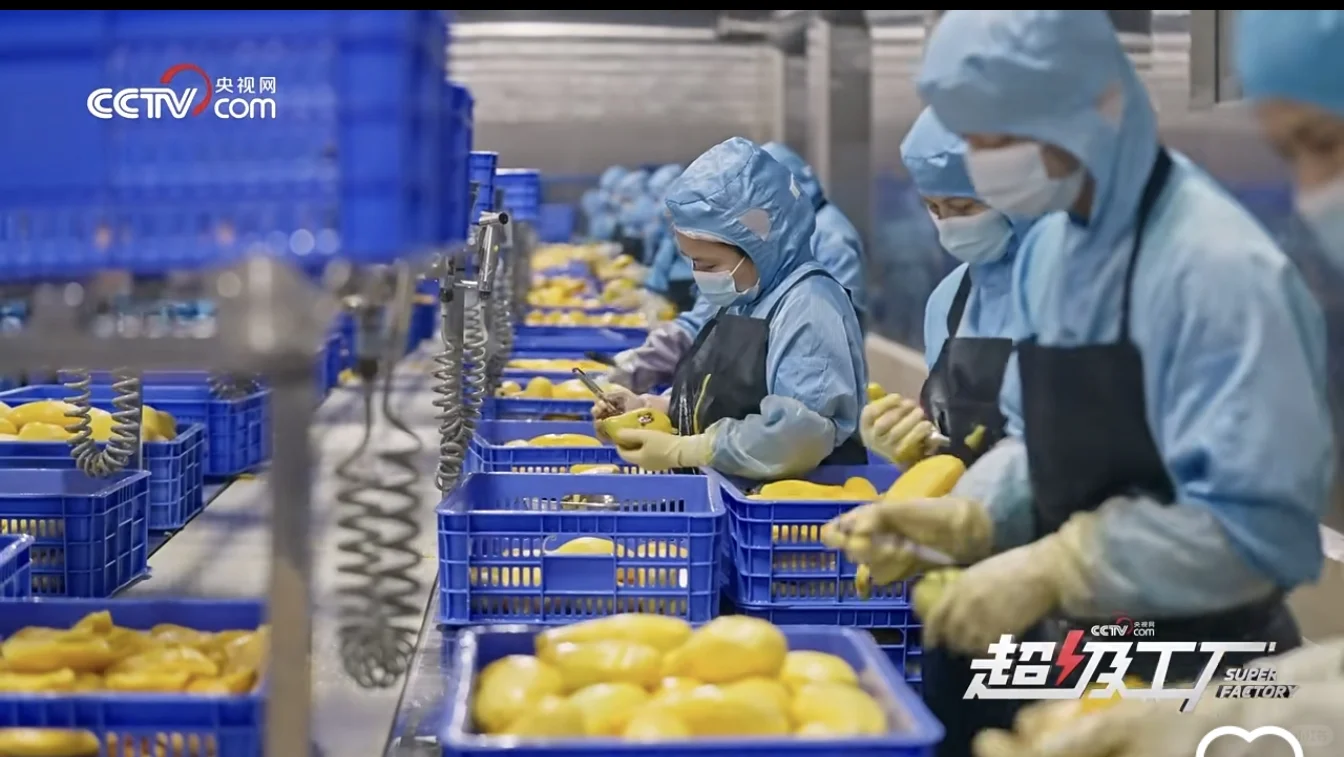 一餐几百消费不起，揭秘四元柠檬水性价比