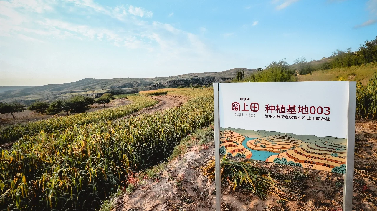 窑上田·万亩种植基地