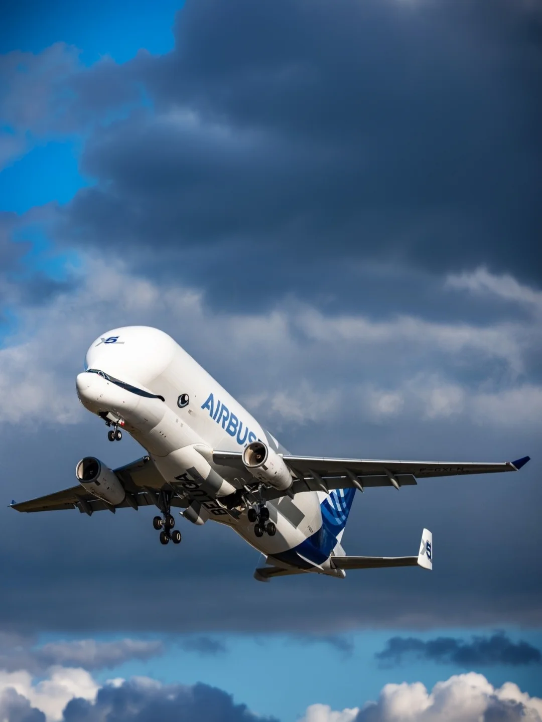 空客公司的6架超级“大白鲸”