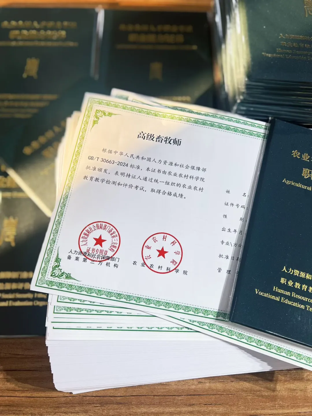 高级畜牧师✅