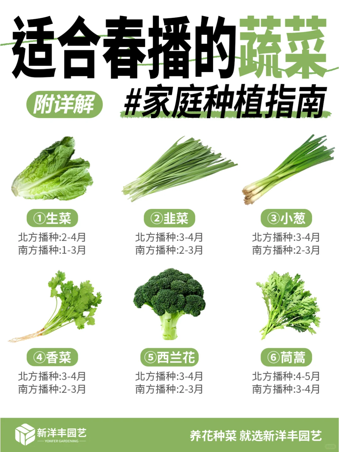 种菜新手看这个！春天种这些更容易成功