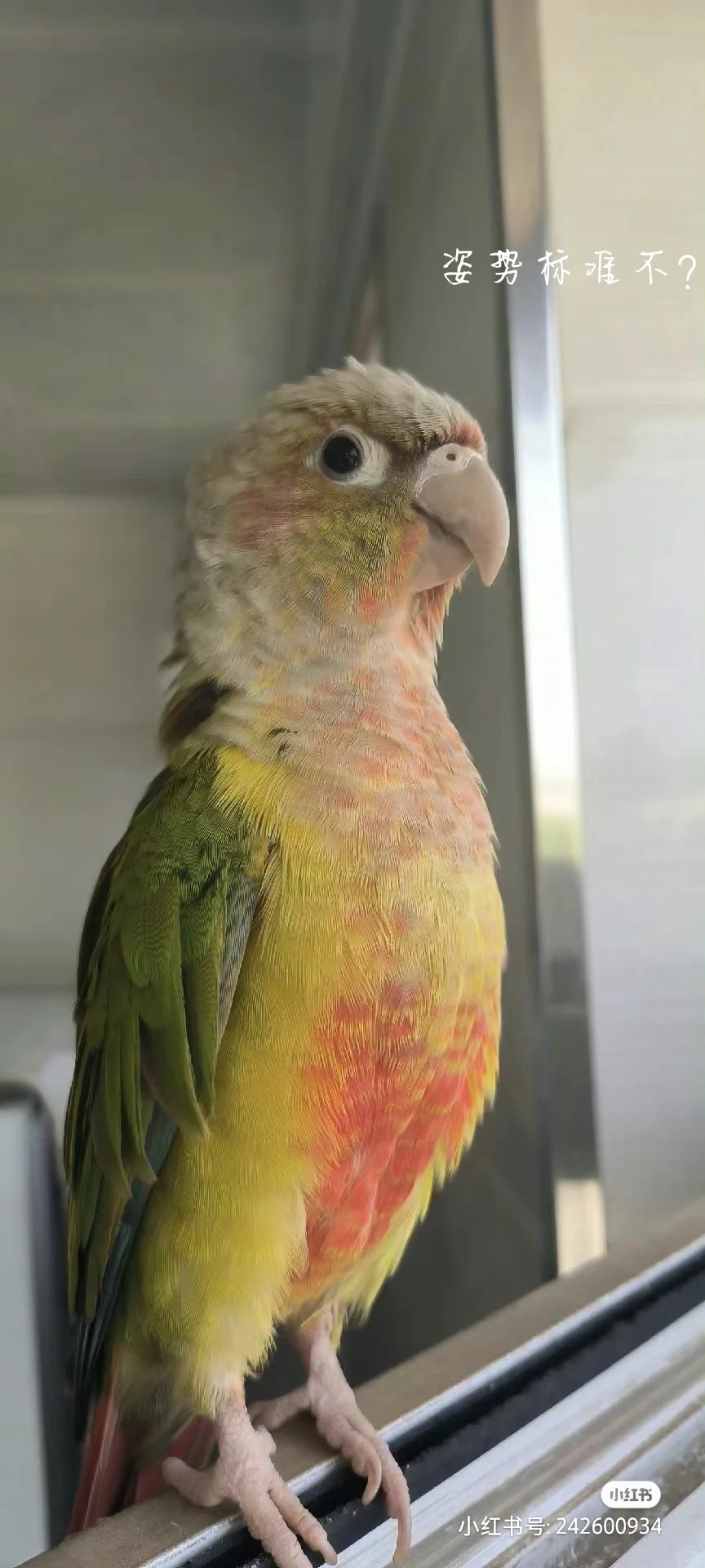 招投标市场