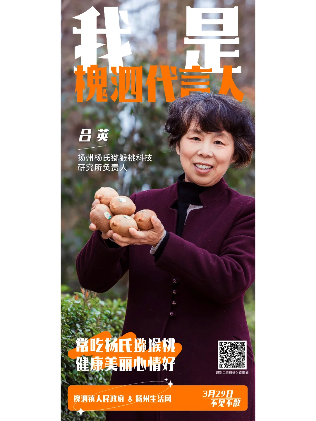 乡村振兴助农直播计划海报设计