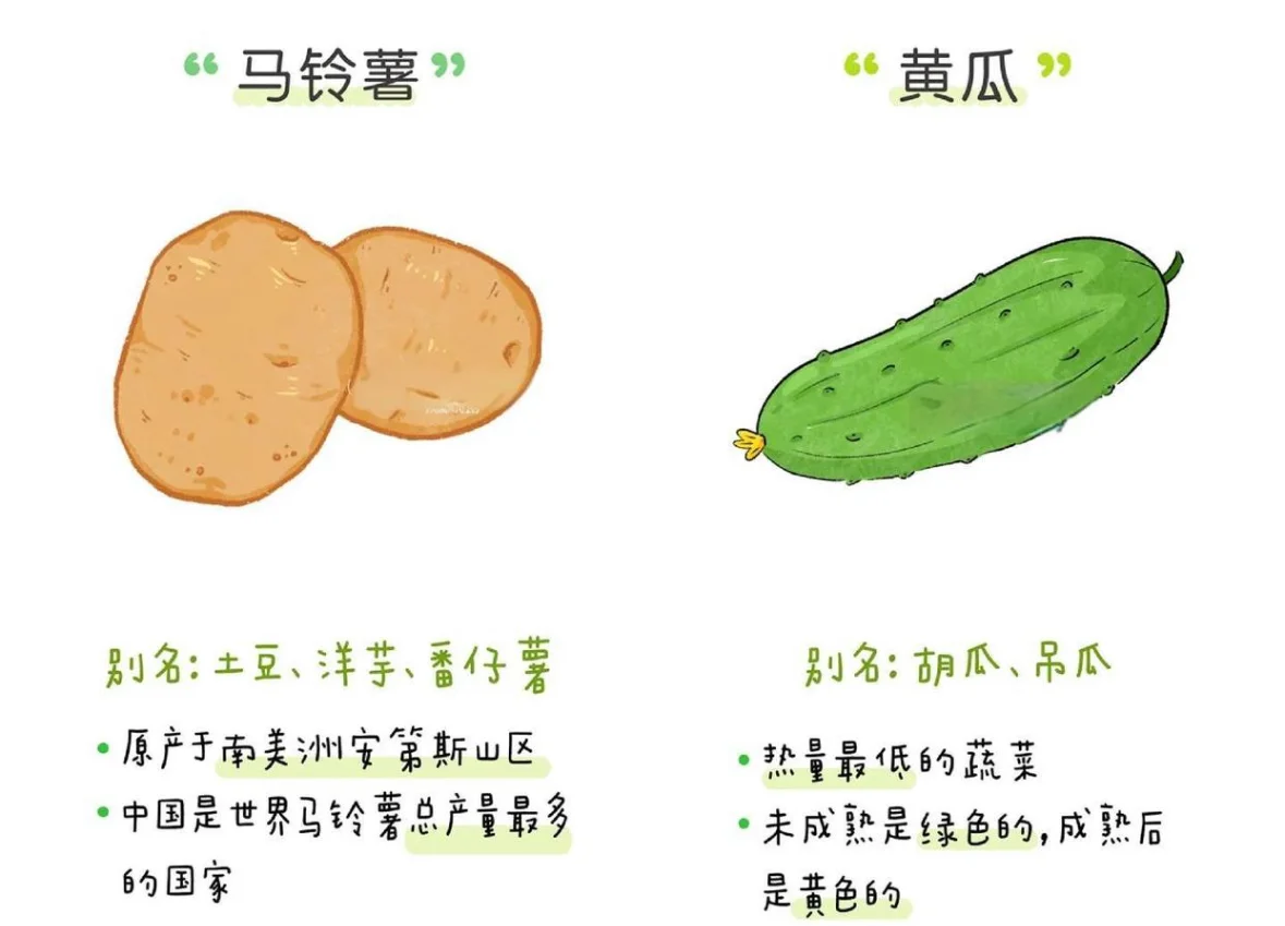 蔬菜小课堂：让孩子爱上吃菜的秘诀 ?