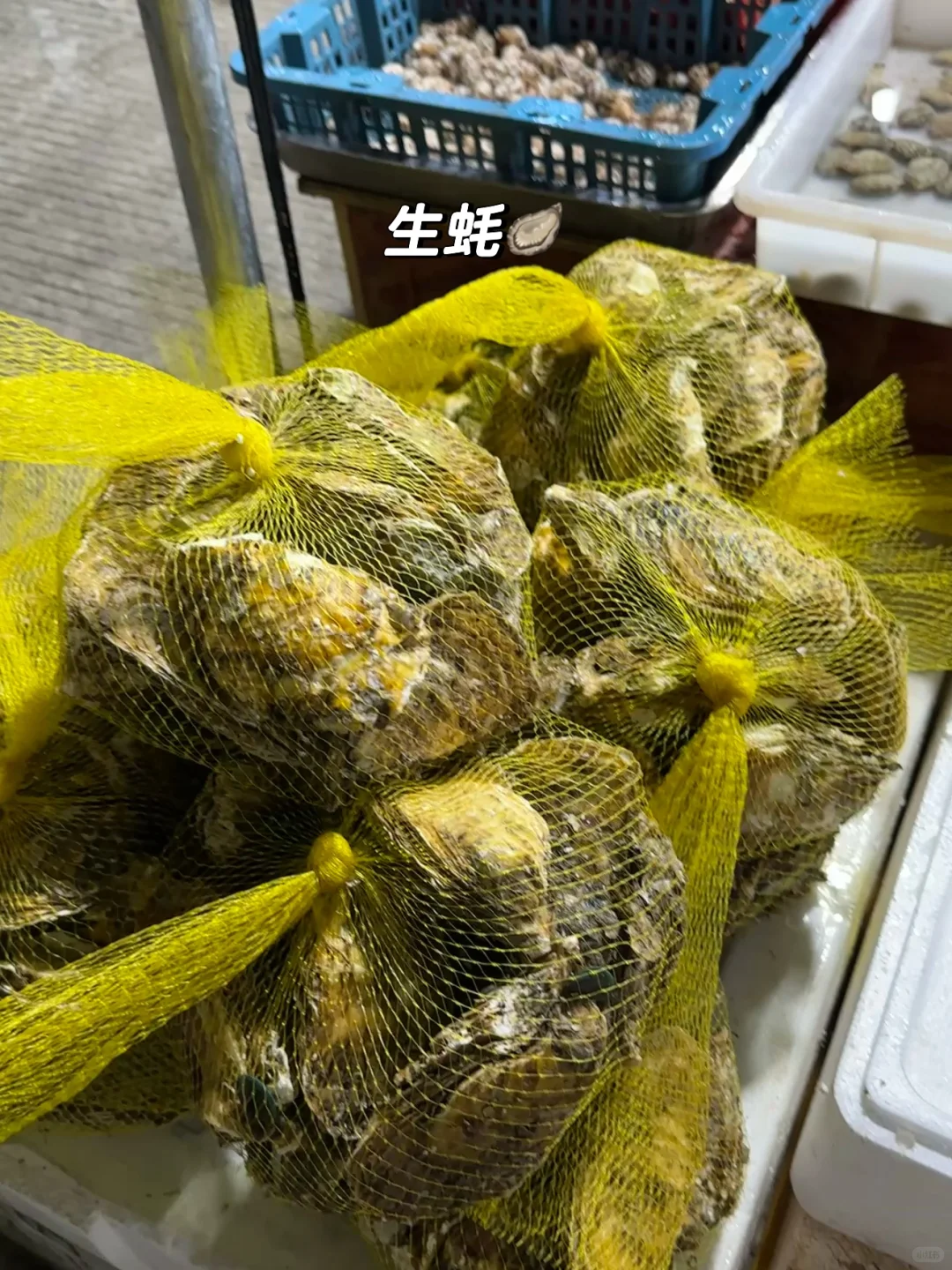 宁德新能源！居然藏着一个宝藏海鲜批发市场