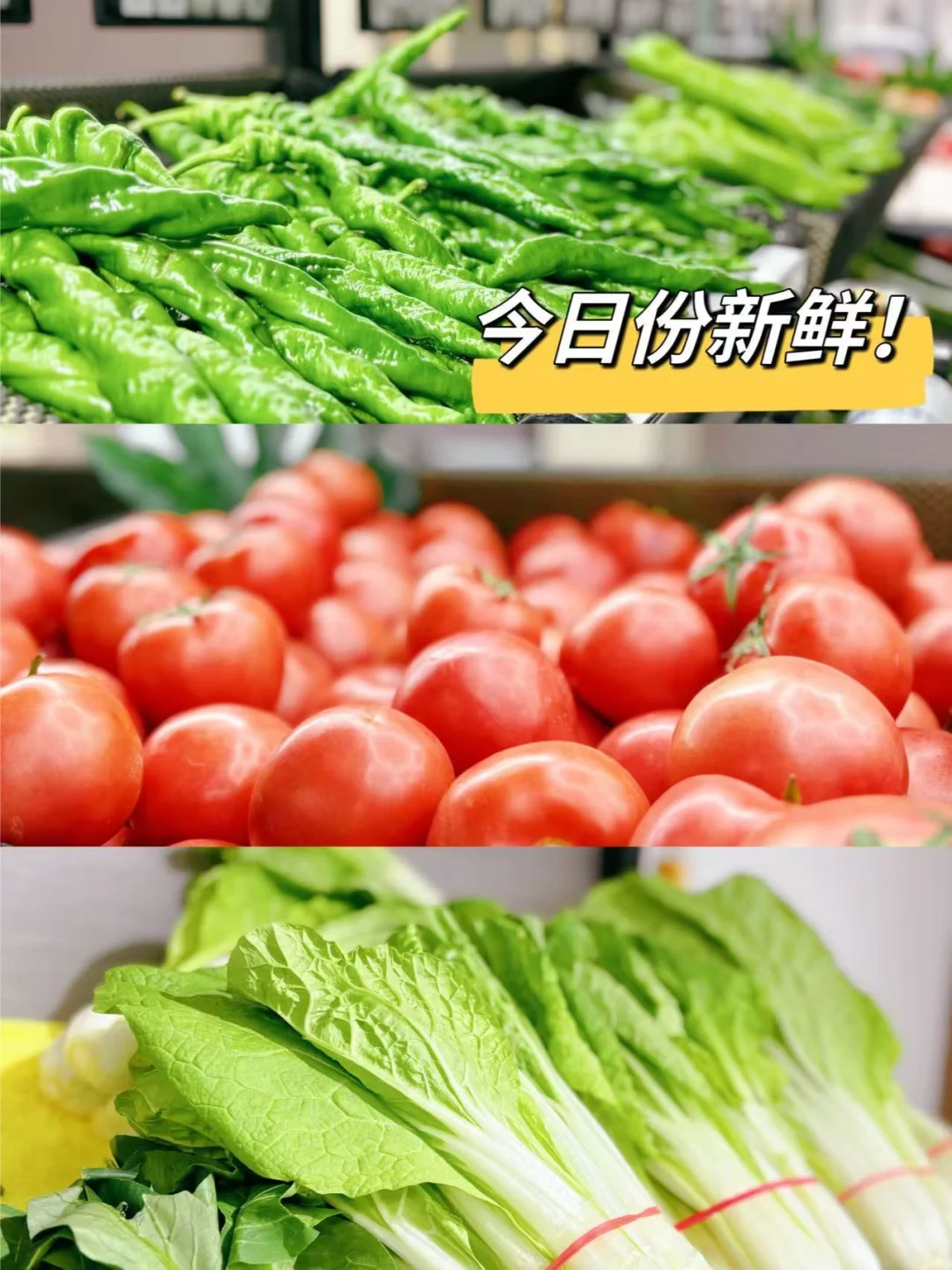 ?惊艳！！被家门口的“菜篮子”鲜到了