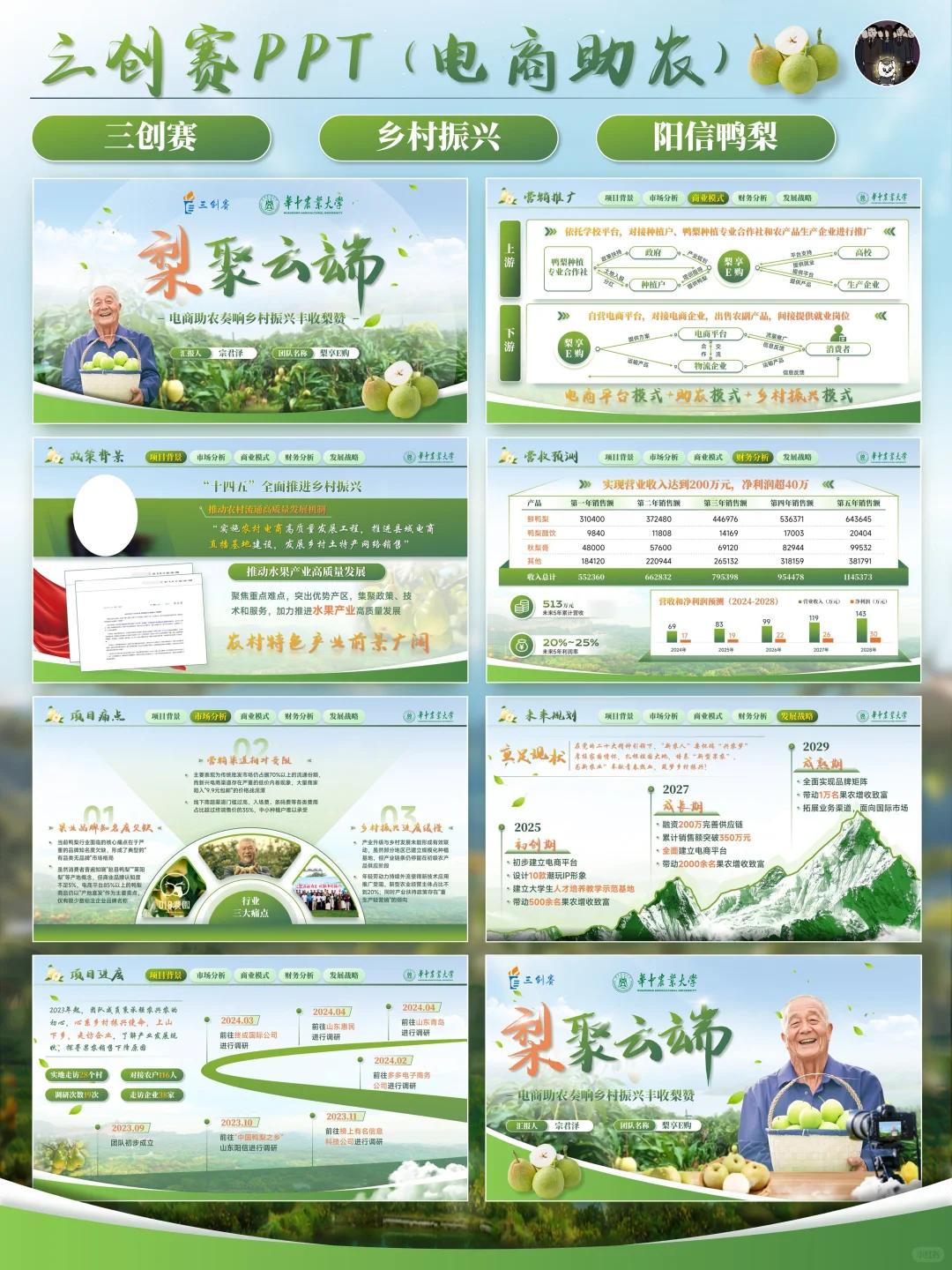 ✨️三创赛丨电商助力农业发展PPT