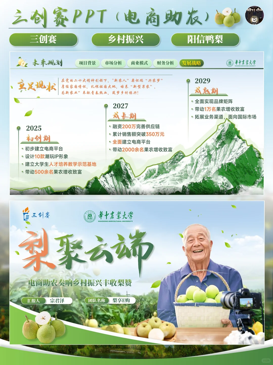✨️三创赛丨电商助力农业发展PPT