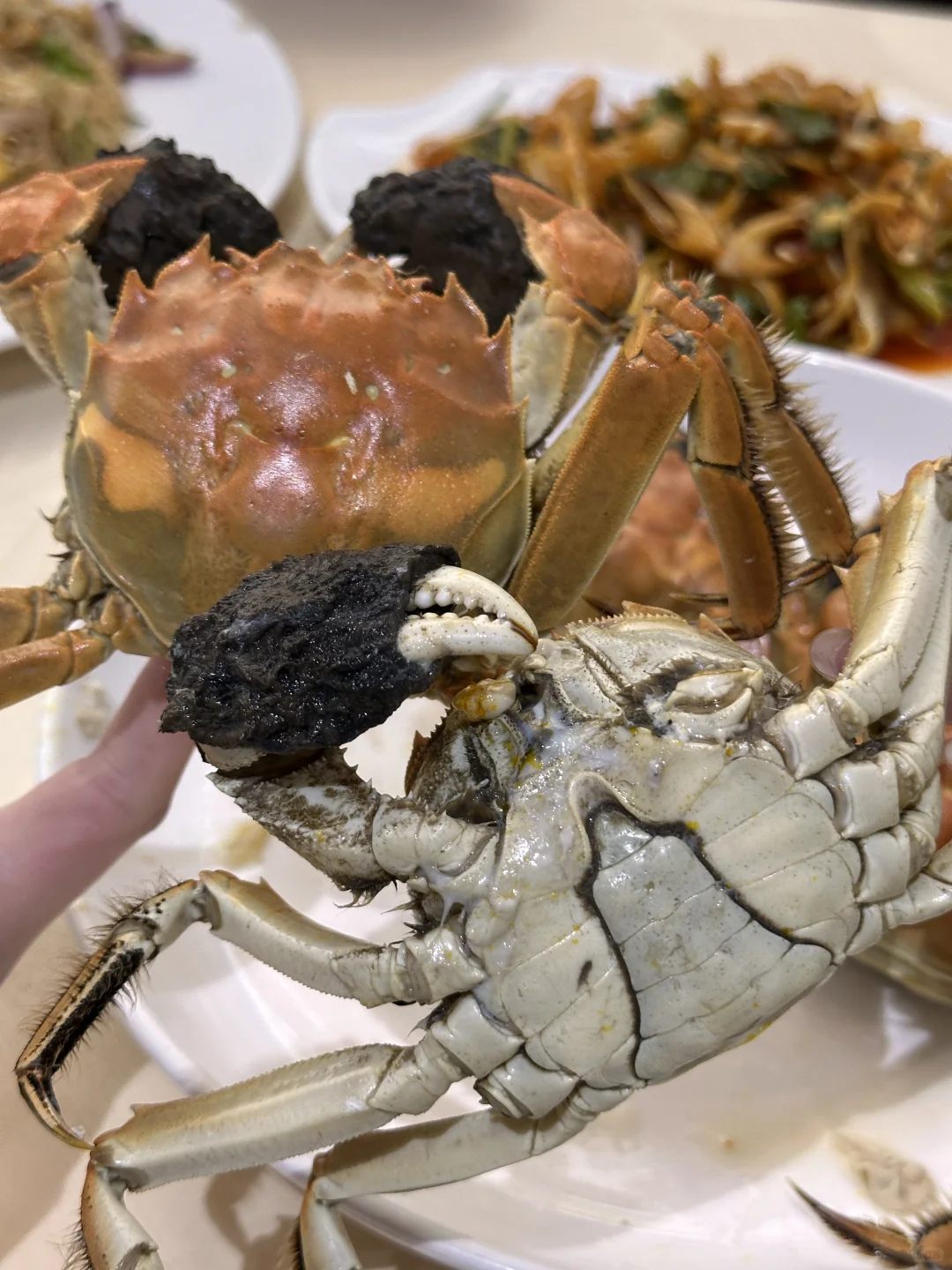 宁德新能源！居然藏着一个宝藏海鲜批发市场