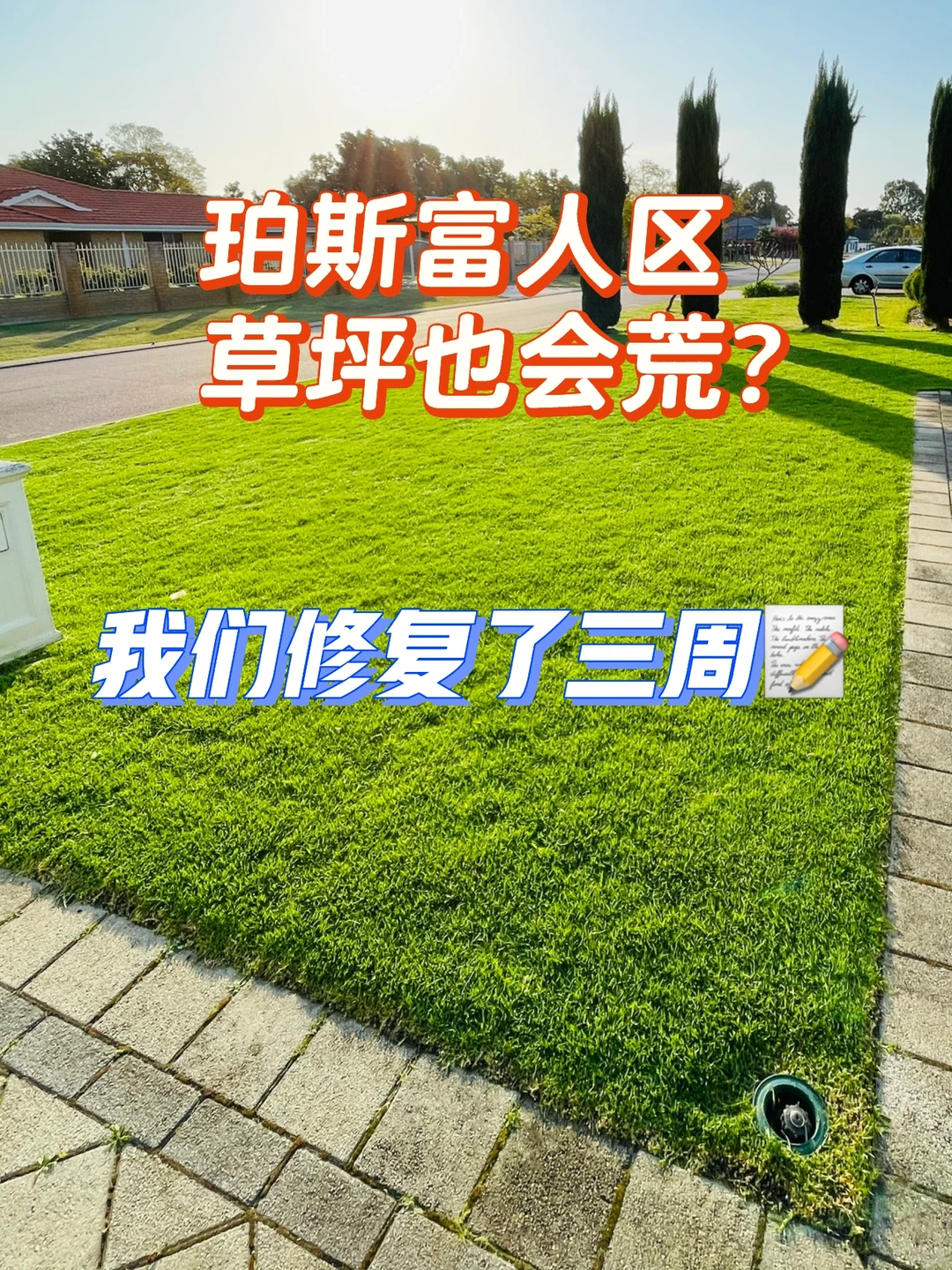 珀斯富人区草坪修复记录｜三周救回来了！