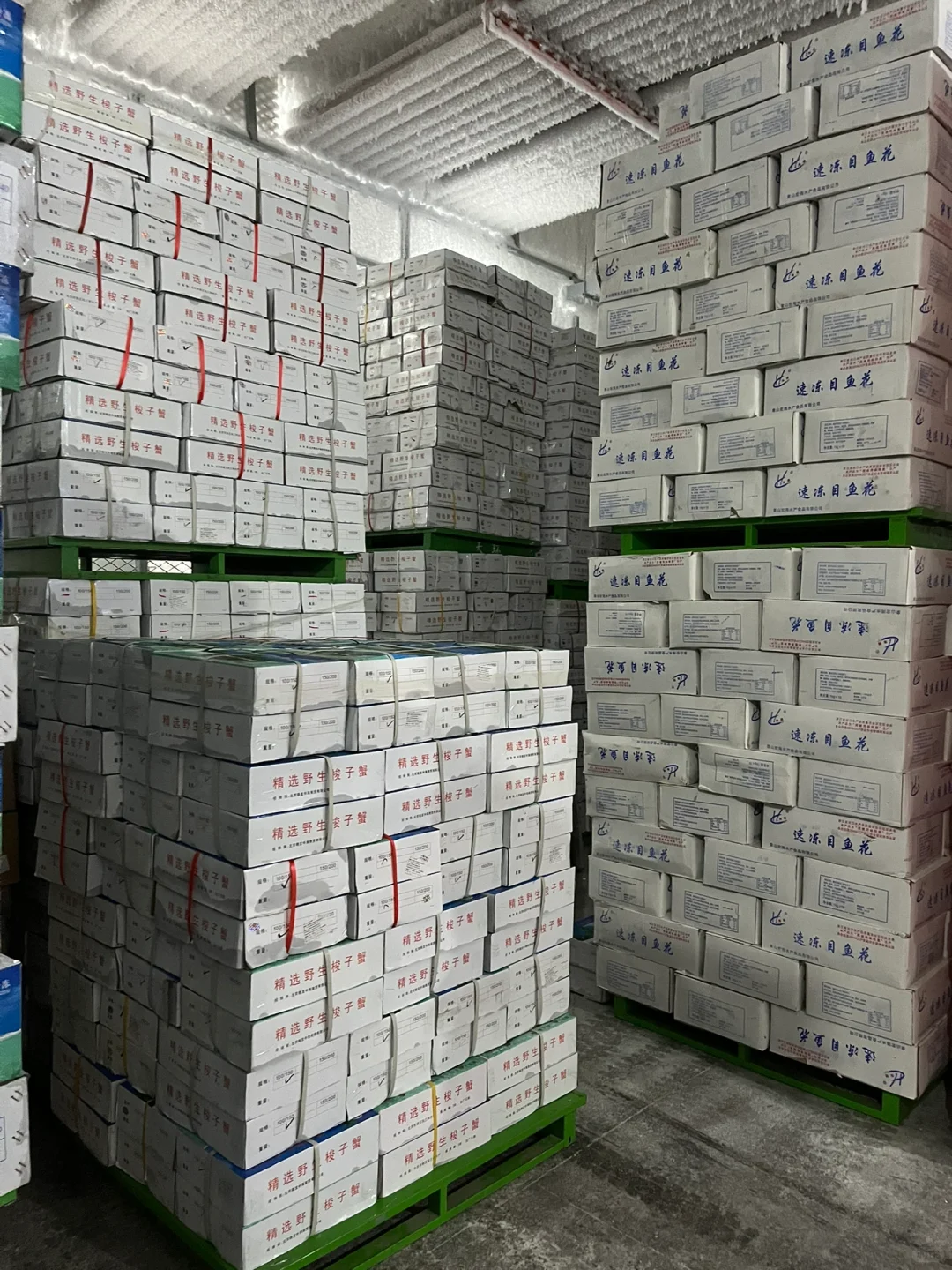 专业的人做专业的事