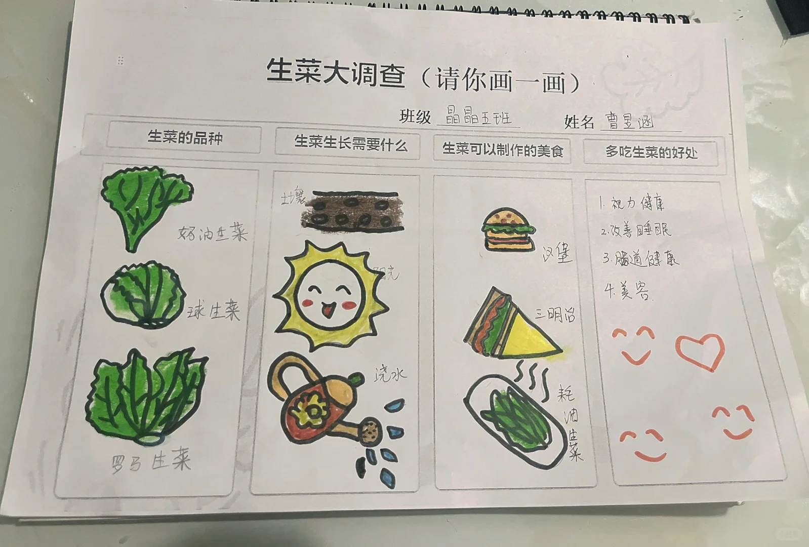 幼儿园“生菜大调查”