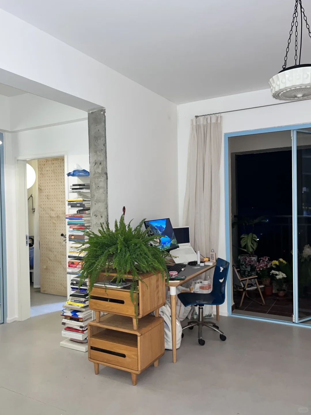 均价不到20的植物