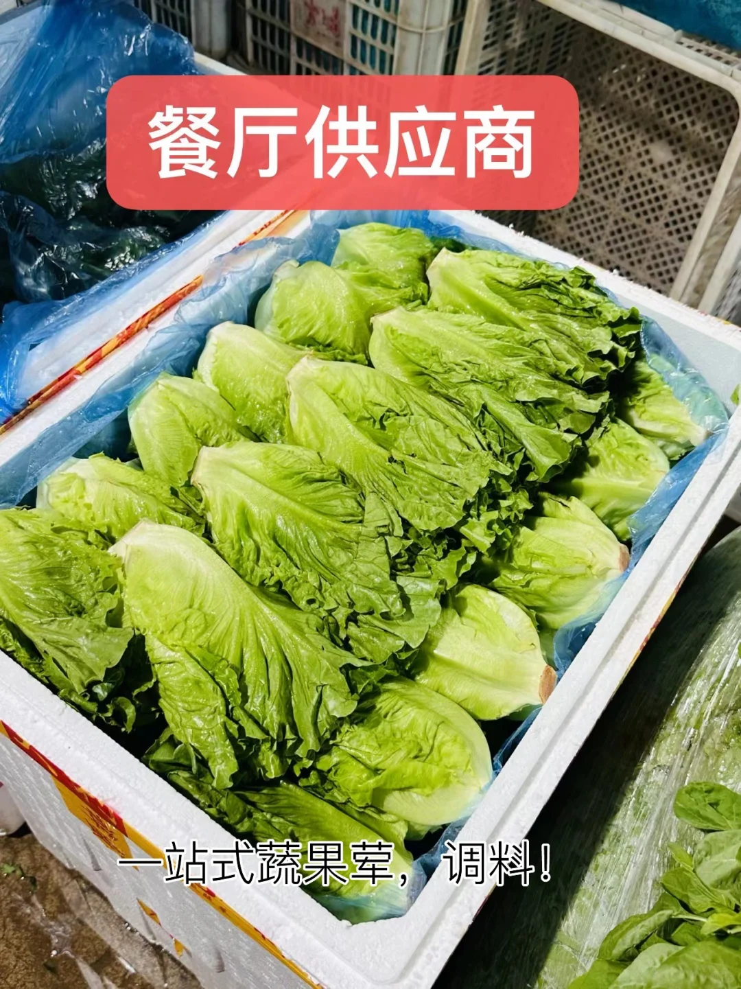 餐厅业的老板，厨师长点进来！?#生鲜供应商
