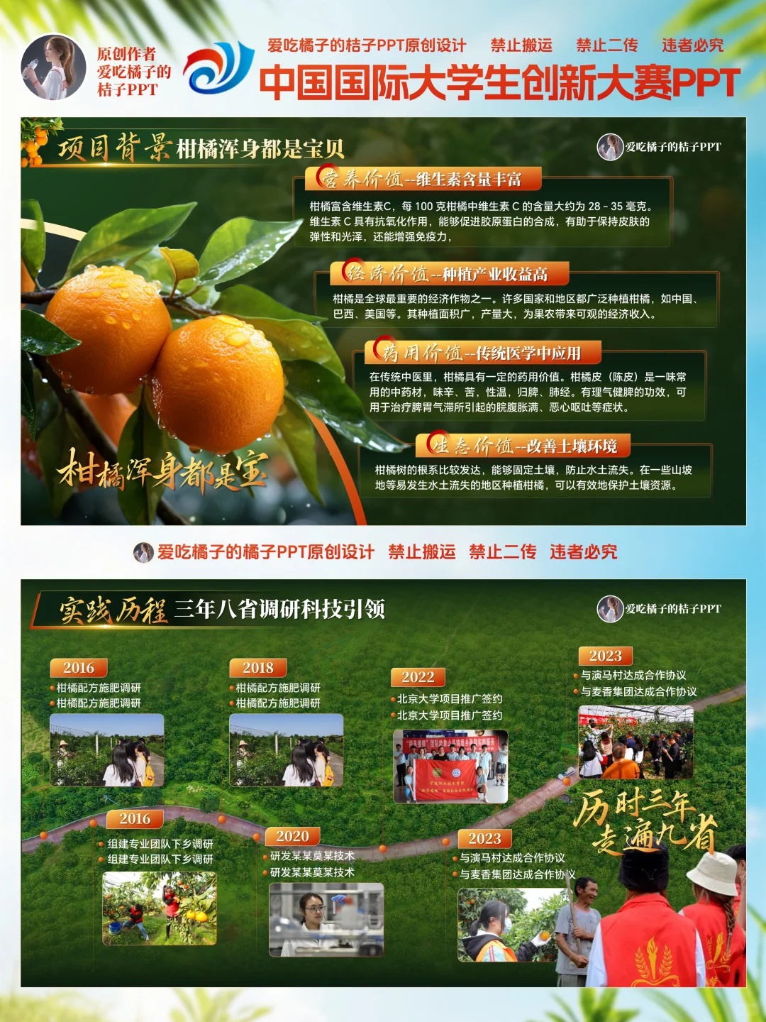 互联网➕大赛金奖红旅赛道乡村振新PPT模板