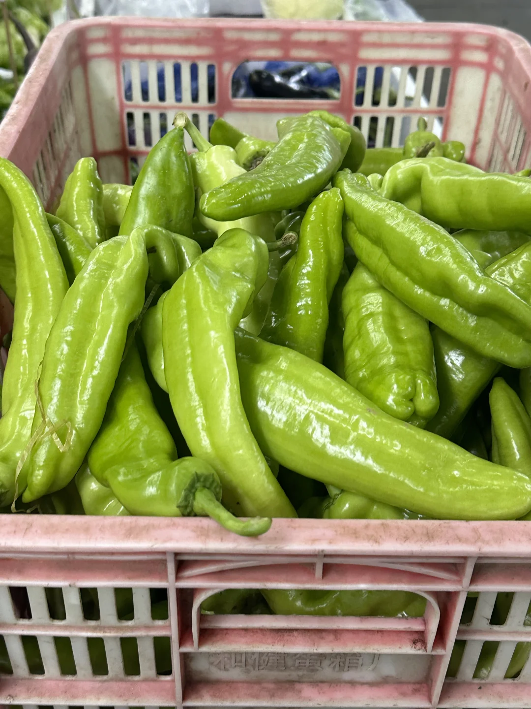 餐厅供应商