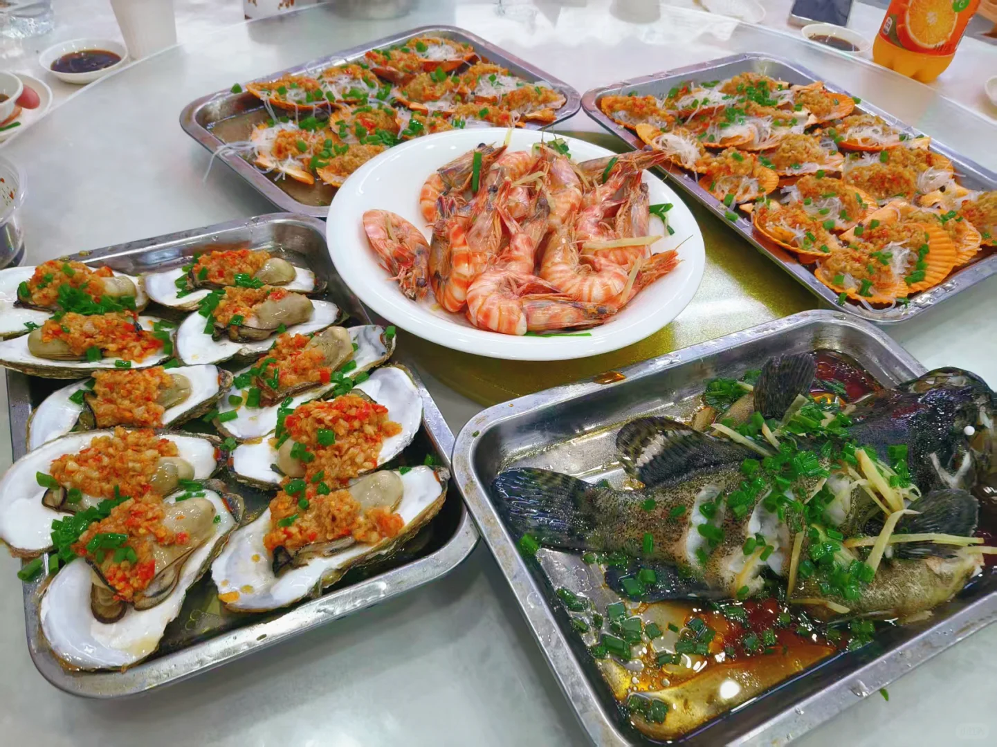 11.24海鲜报价‼️北海便民市场【便民海鲜】