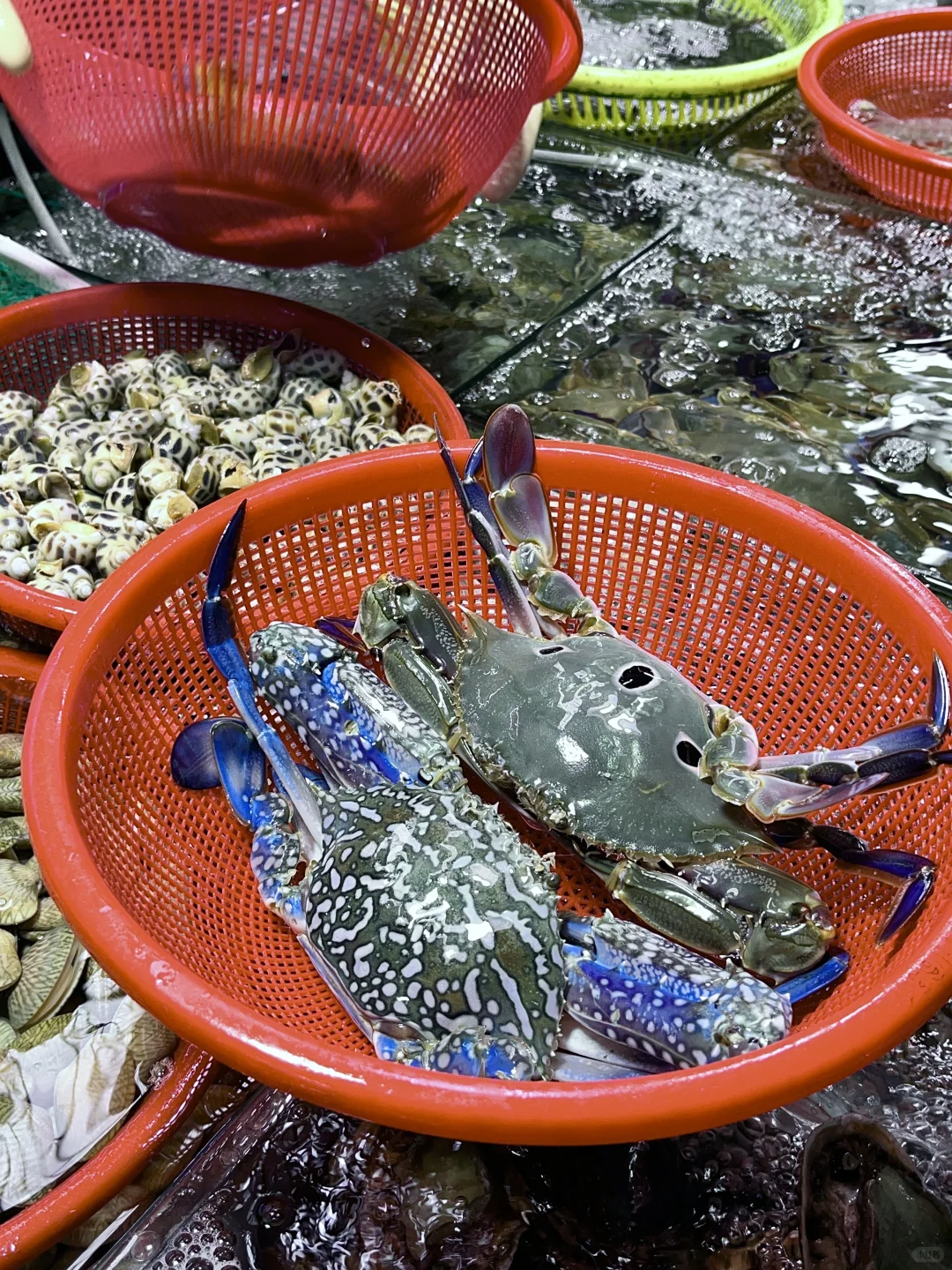 三亚本地人才来逛的市场不仅便宜种类还齐全