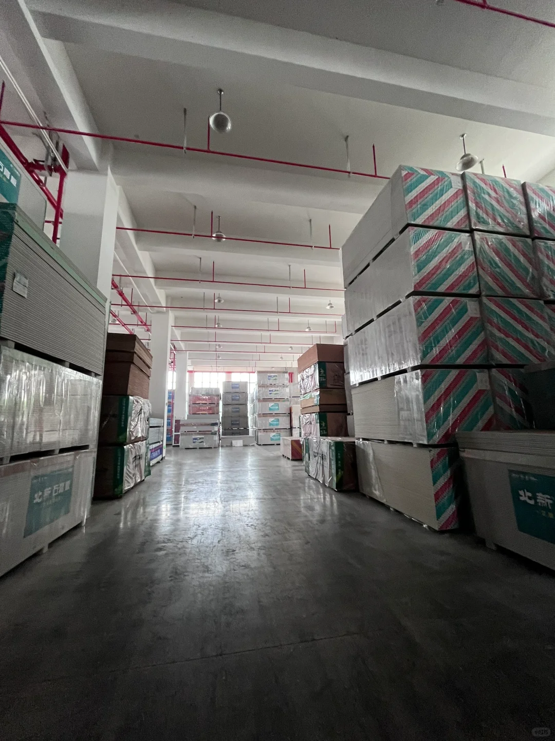 龙的传人选龙牌呀