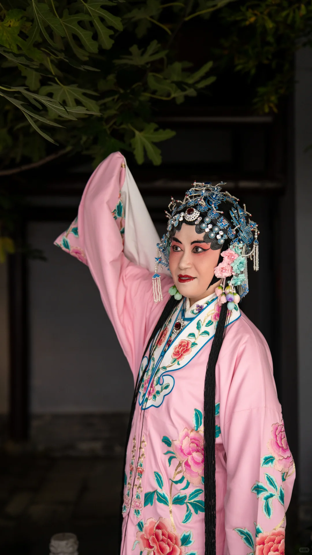 昆曲文化交流会拍摄‖用镜头留住传统韵味