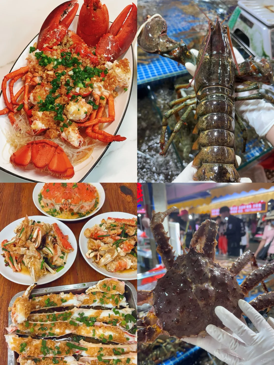 11.24海鲜报价‼️北海便民市场【便民海鲜】