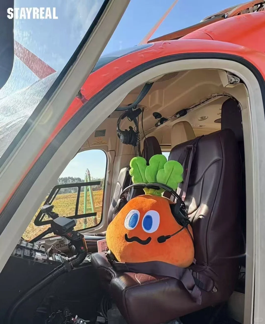 总裁的爹 顶流的儿 贫穷的妈?