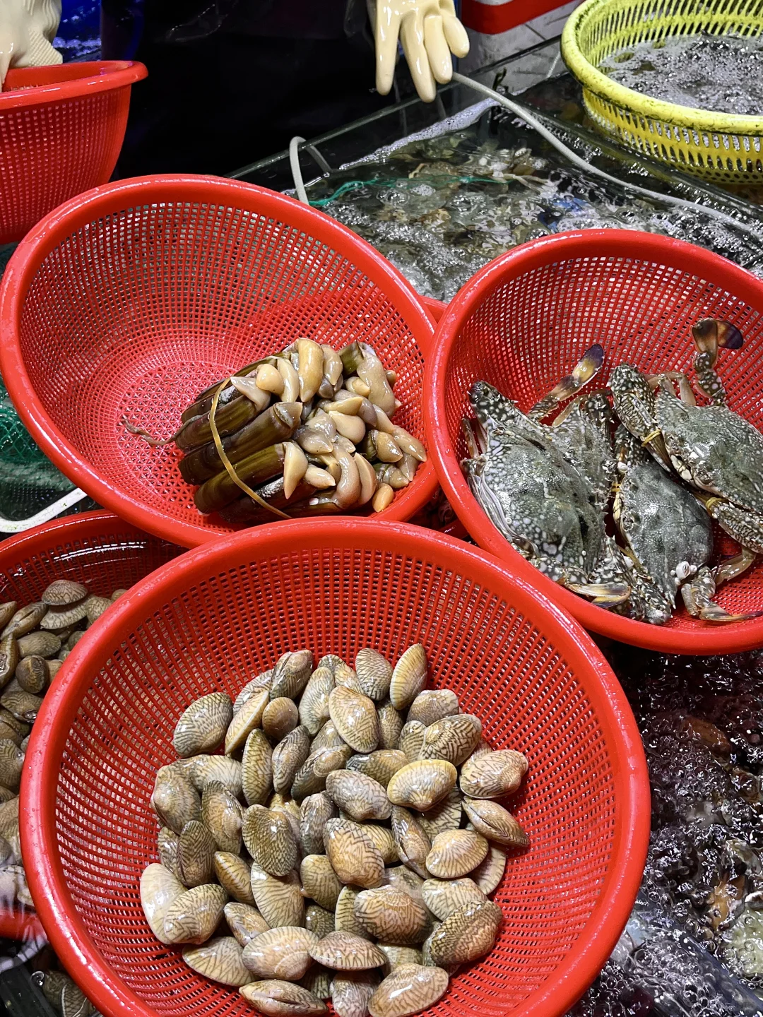 不踩雷！在三亚第二市场购鲜的全记录?