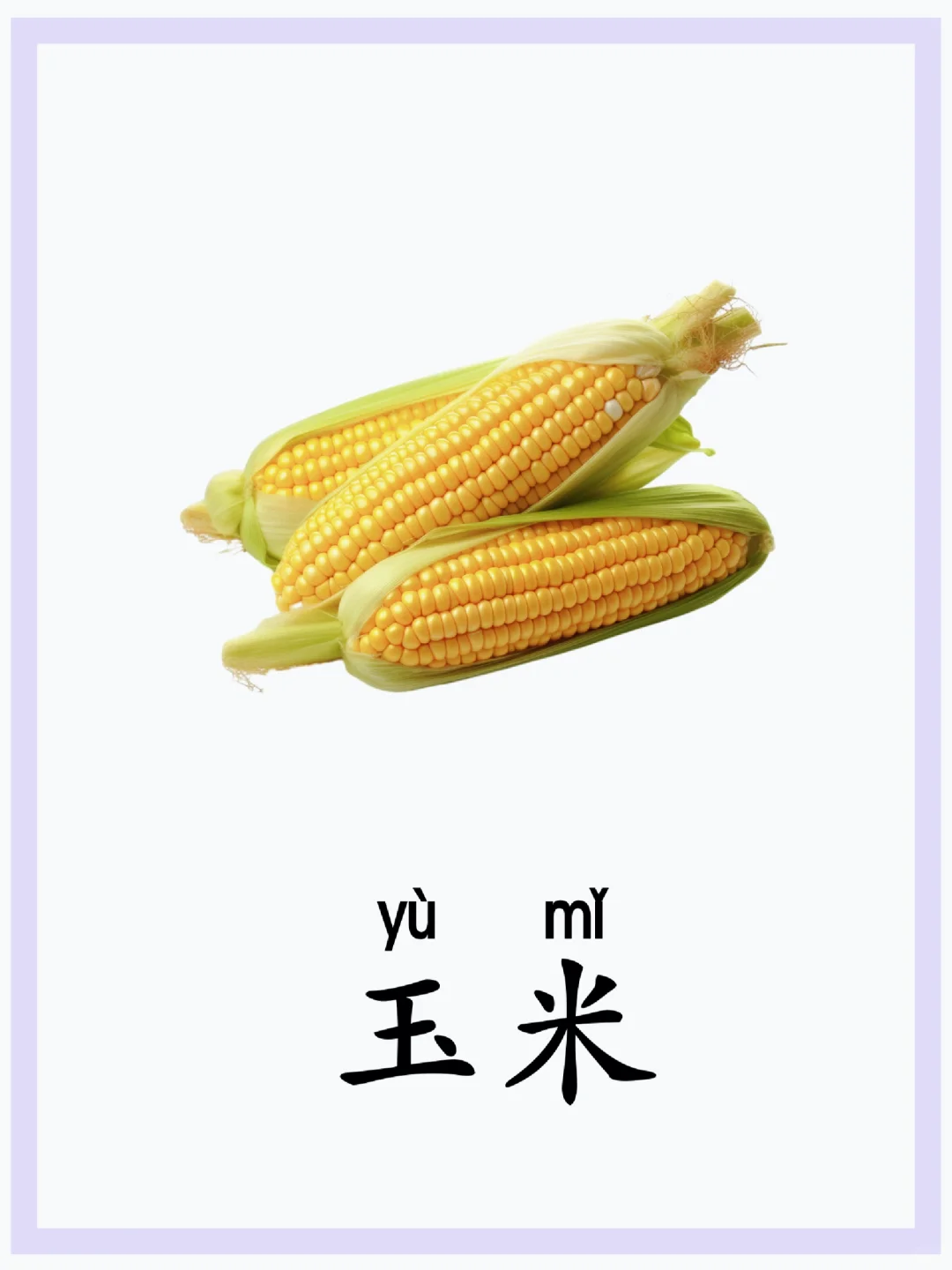 蔬菜闪卡