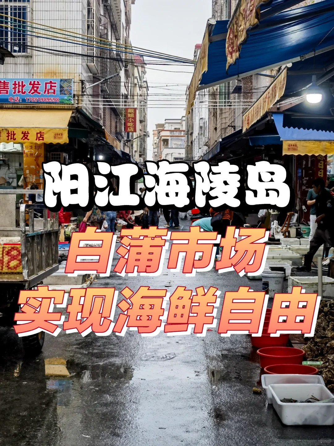 海陵岛海鲜攻略｜海鲜市场+餐馆一条龙