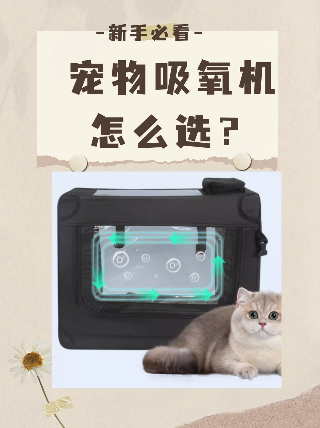 ?新手家长必看，宠物吸氧机怎么选？