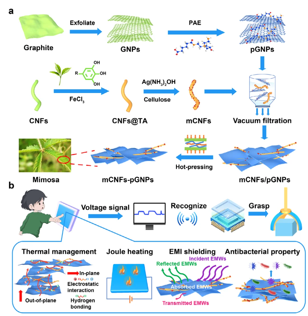 Adv Mater：纤维素纳米纤维基复合材料