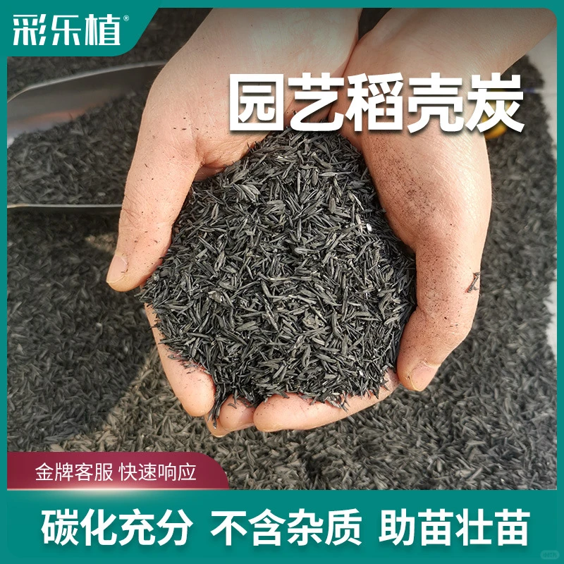 稻壳炭——园艺小白的土壤救星✨