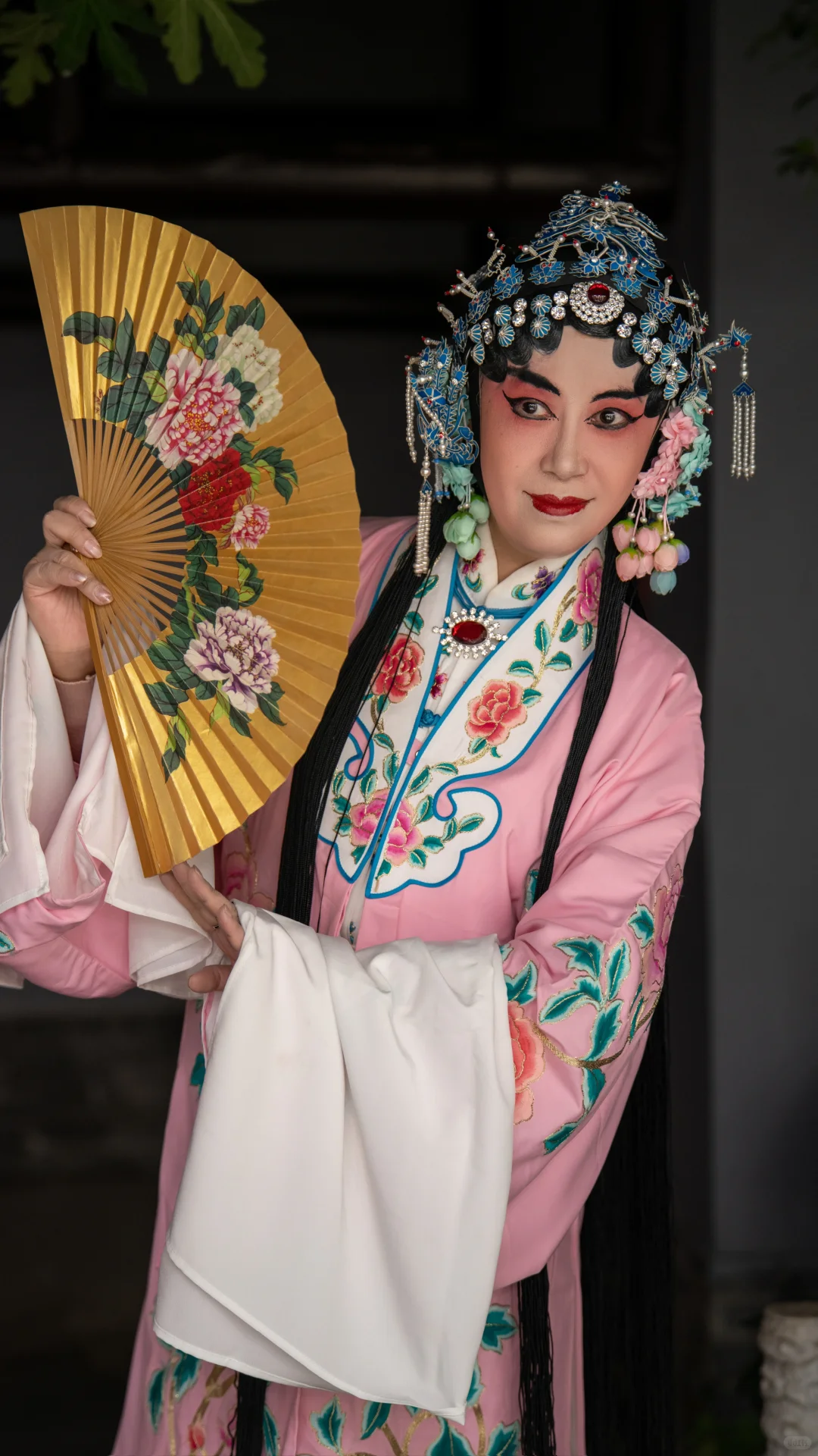 昆曲文化交流会拍摄‖用镜头留住传统韵味