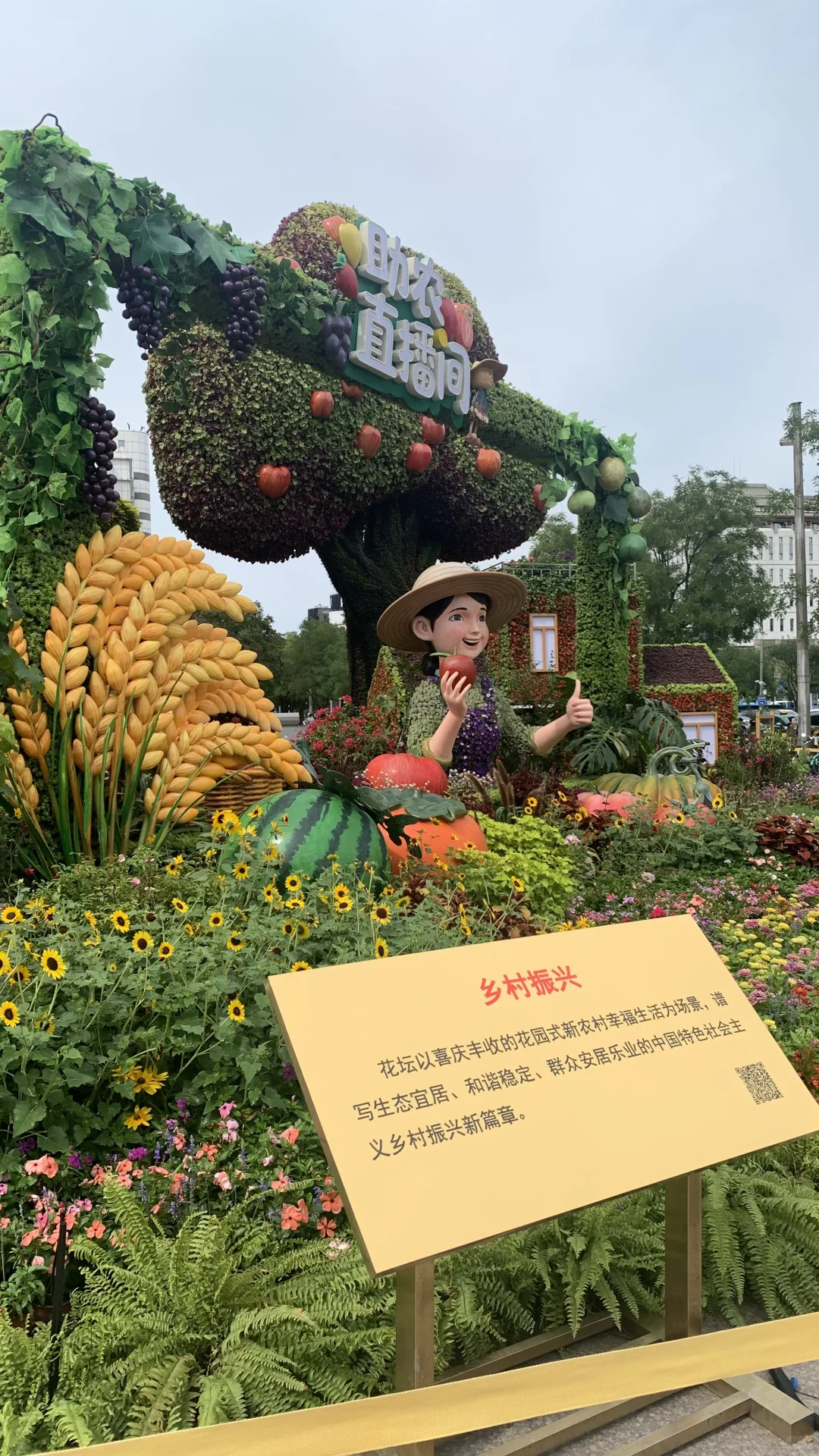 长安街上的助农直播间