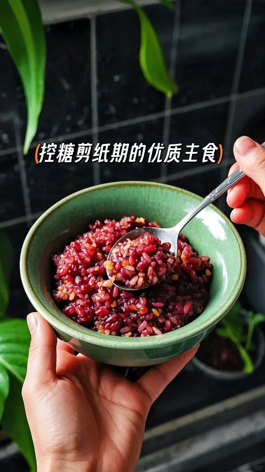 五色糙米来福利啦!!!