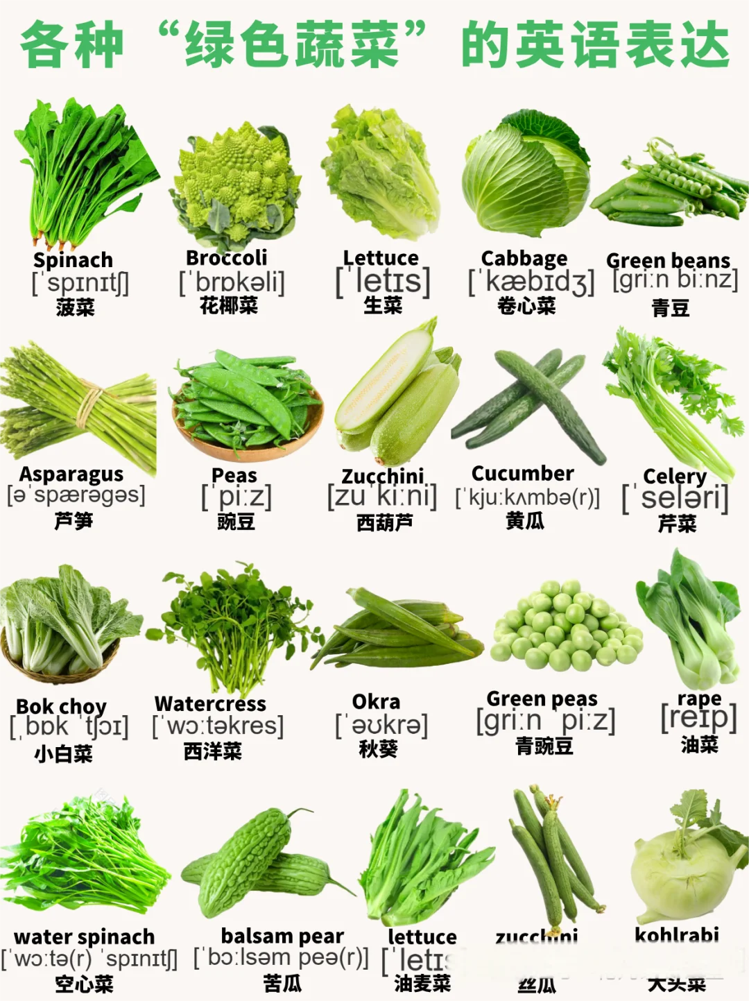 亲子英语｜绿色蔬菜词汇和高频亲子英语对话