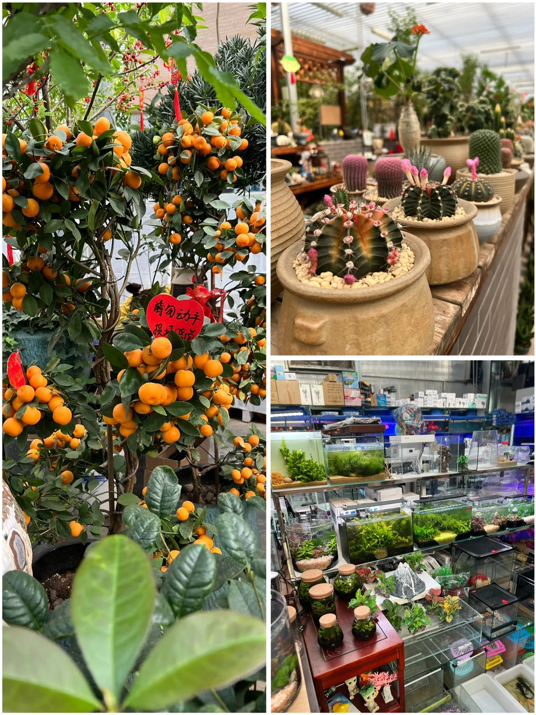 装修｜必去的家居建材城