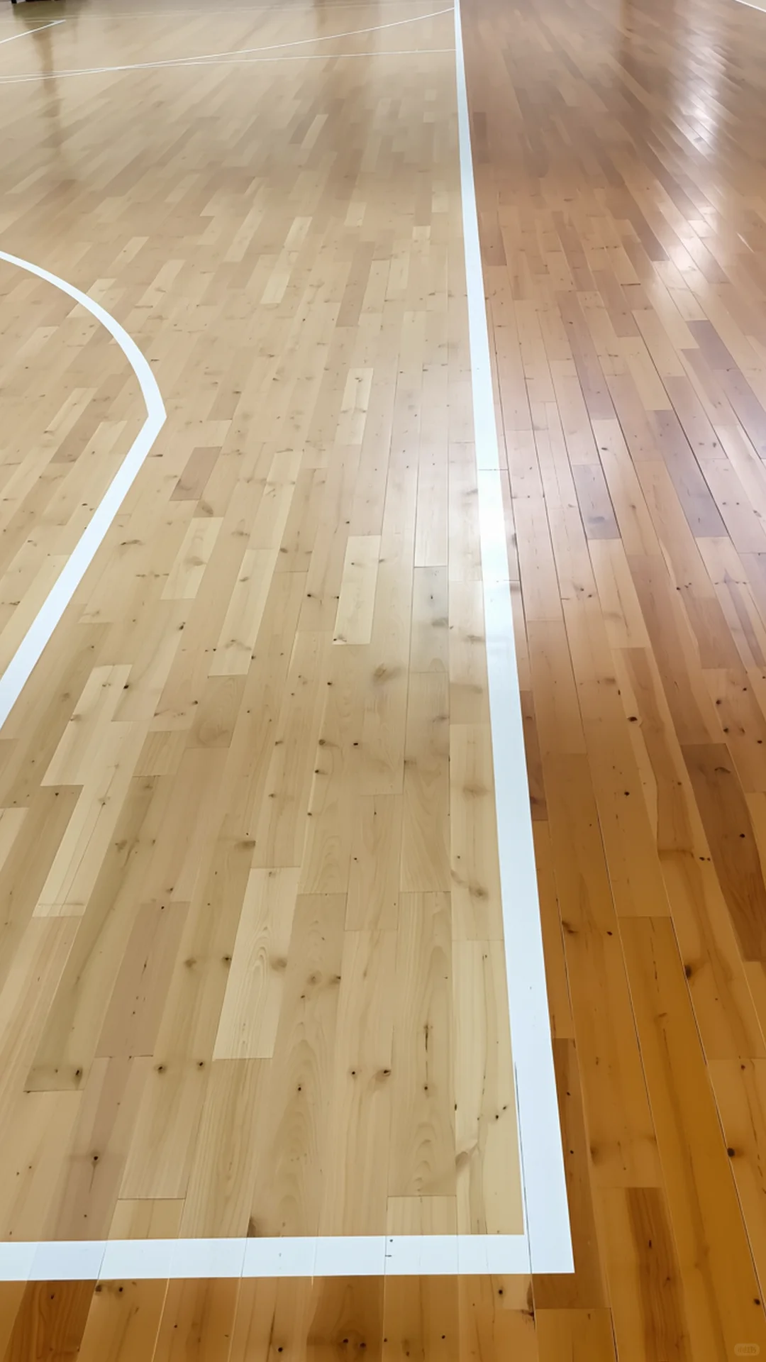 广东枫桦木运动体育地板招标