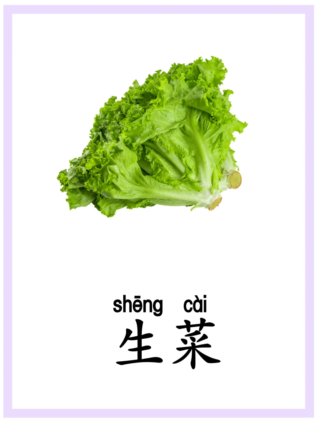 ?华裔学中文|认识“蔬菜”|关注持续更新