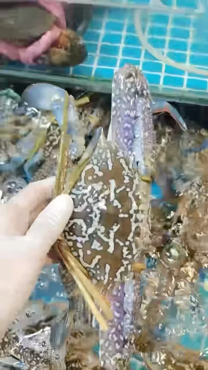 11.18海鲜实时报价｜便民市场竹林佬平靓正?