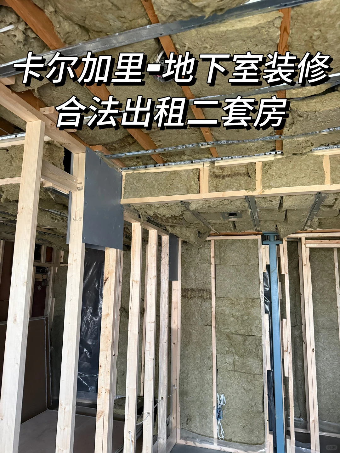 卡尔加里-地下室装修（合法出租二套房）