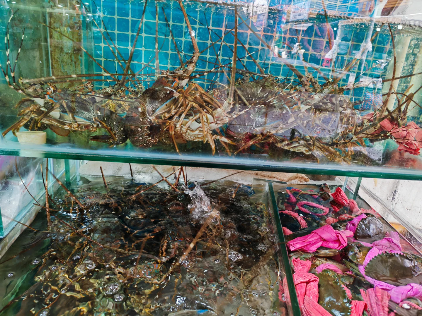 北海海鲜加工真的太贴心了‼️“不满意重做