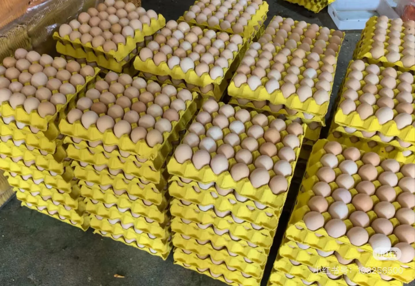馆陶鸡蛋源头厂家供应链，月产300W件