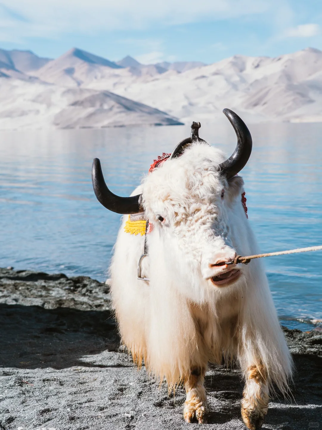 不去不知道它这么美！让我又爱上了这个世界