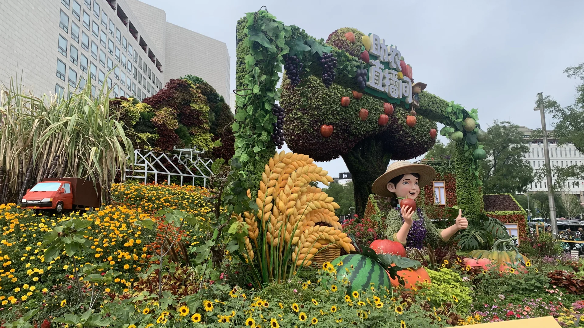 长安街上的助农直播间