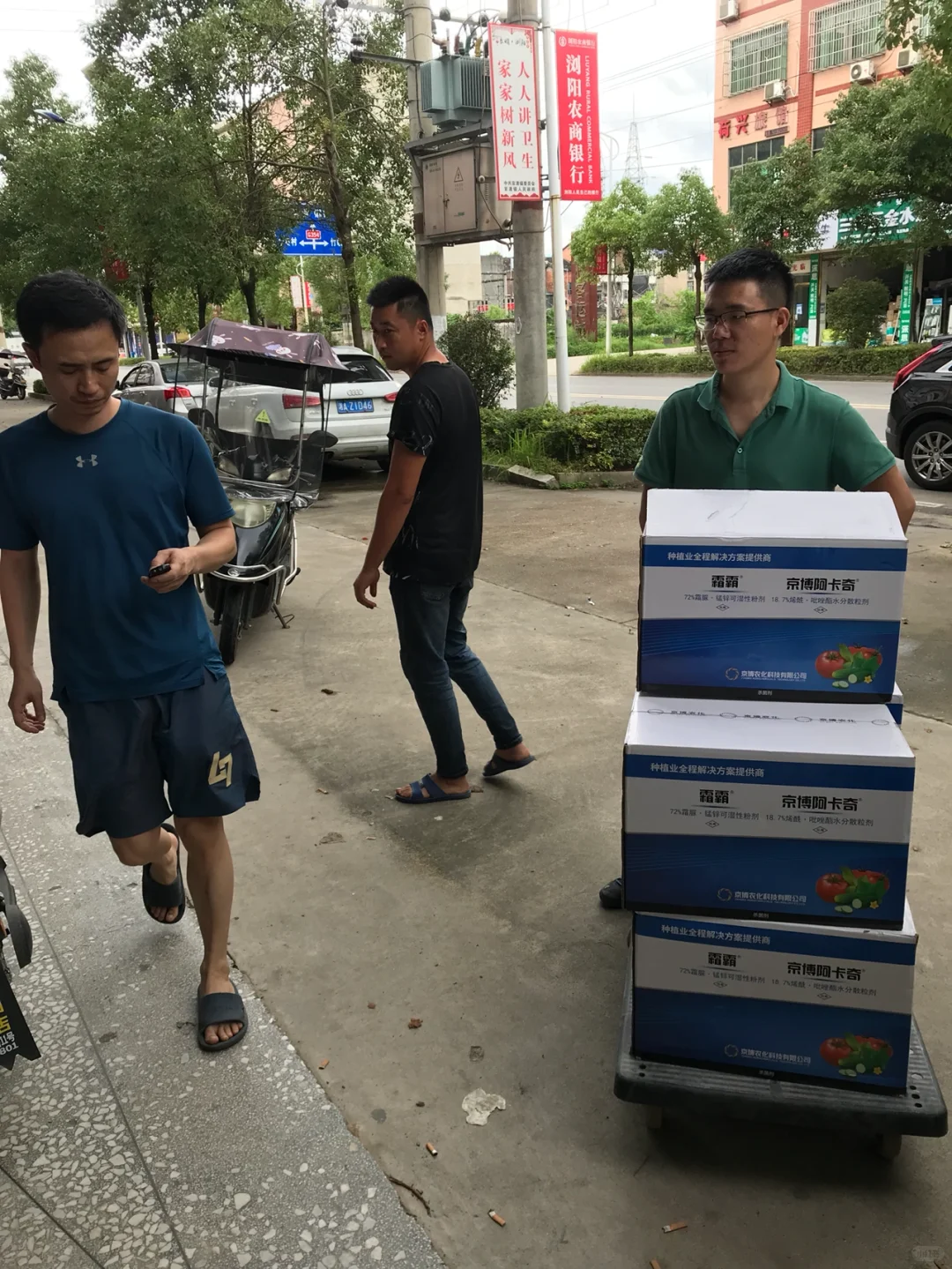 与农药交手的第三个年头