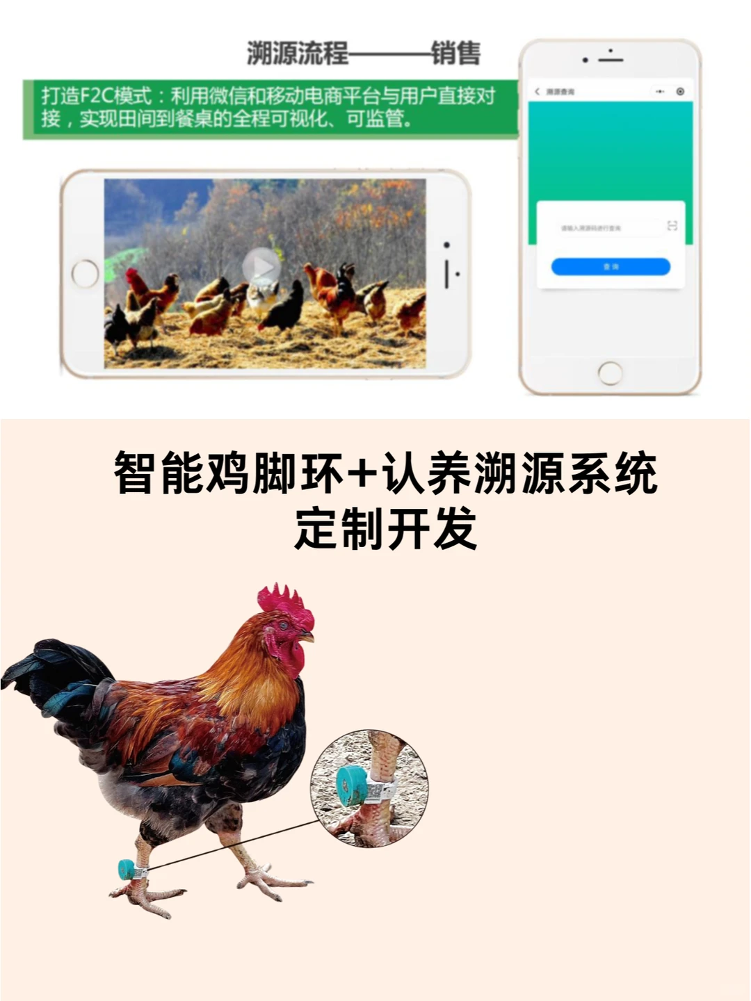 互联网+认养是如何盘活农业经济的