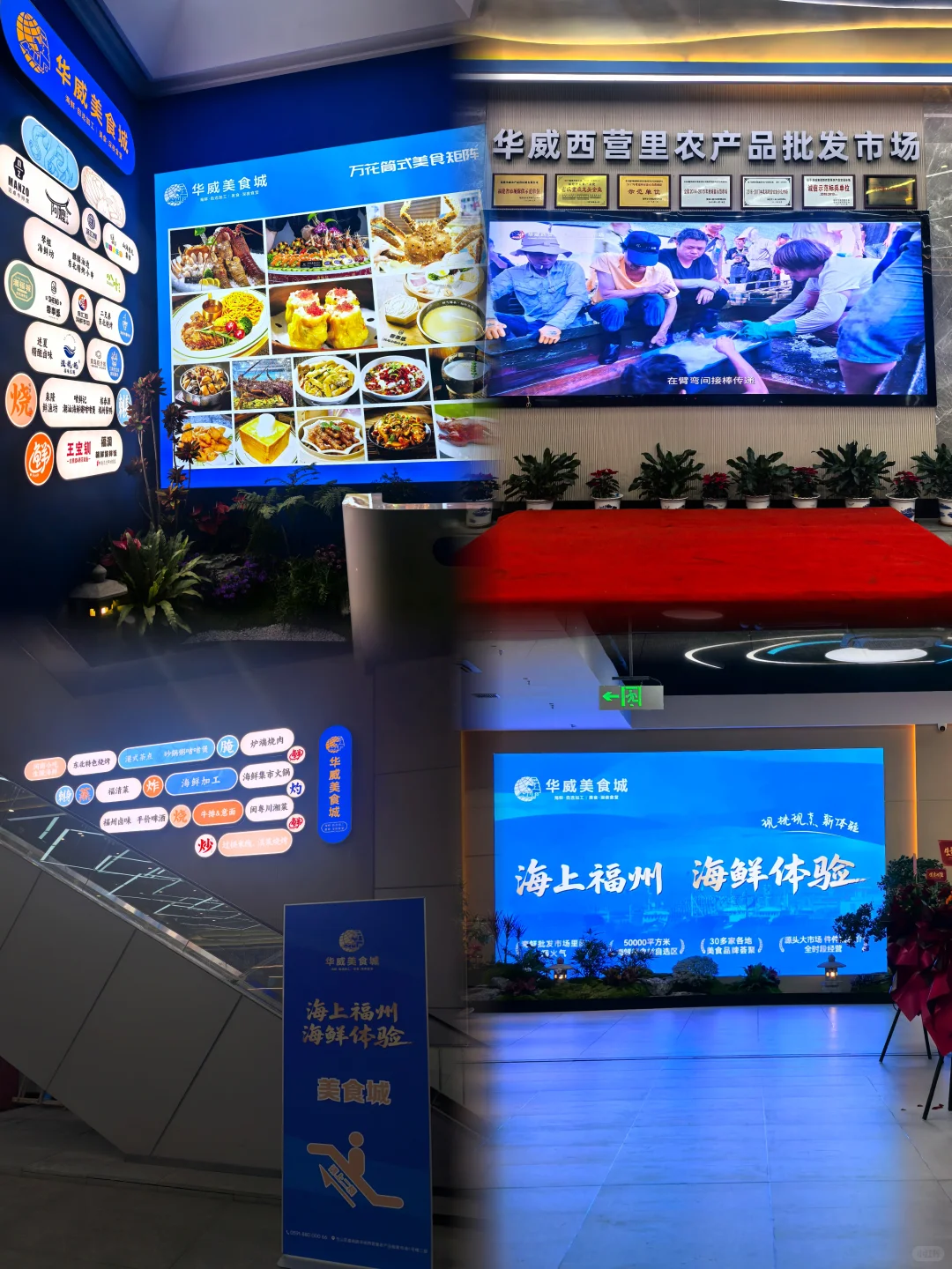 海鲜批发市场里竟藏了个近万平的美食城！