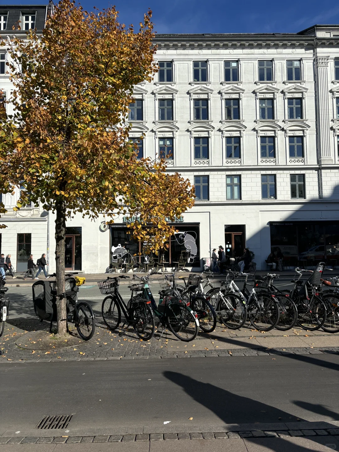 天气好，一定要来哥本的Torvehallerne市场